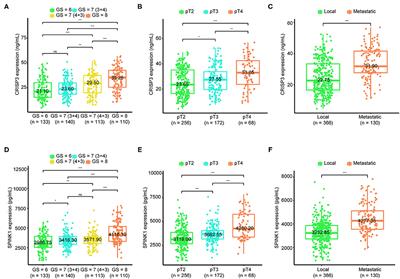 A Combined CRISP3 and SPINK1 Prognostic Grade in EPS-Urine and Establishment of Models to Predict Prognosis of Patients With Prostate Cancer